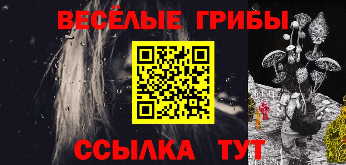 Галлюциногенные грибы MAGIC MUSHROOMS  Галлюциногенные грибы ЛСД  Вход с VPN  Шатура 